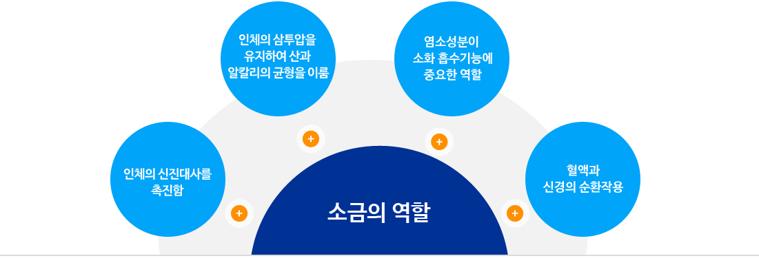 소금의 역할 - 인체의 신진대사를 촉진함 , 인체의 삼투압을 유지하여 산과 알칼리의 균형을 이룸 , 염소성분이 소화 흡수기능에 중요한 역할, 혈액과 신경의 순환작용