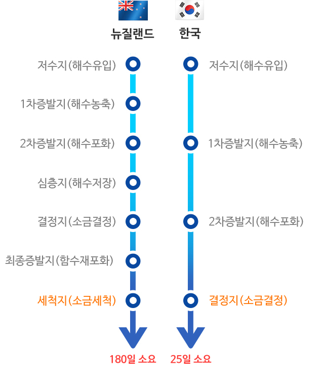 천일염 생산방식