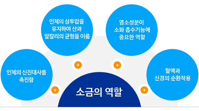 소금의 역할 - 인체의 신진대사를 촉진함 , 인체의 삼투압을 유지하여 산과 알칼리의 균형을 이룸 , 염소성분이 소화 흡수기능에 중요한 역할, 혈액과 신경의 순환작용